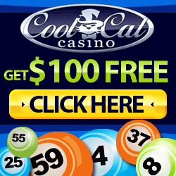 Cool Cat Free Spins