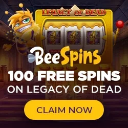 New Online Casinos