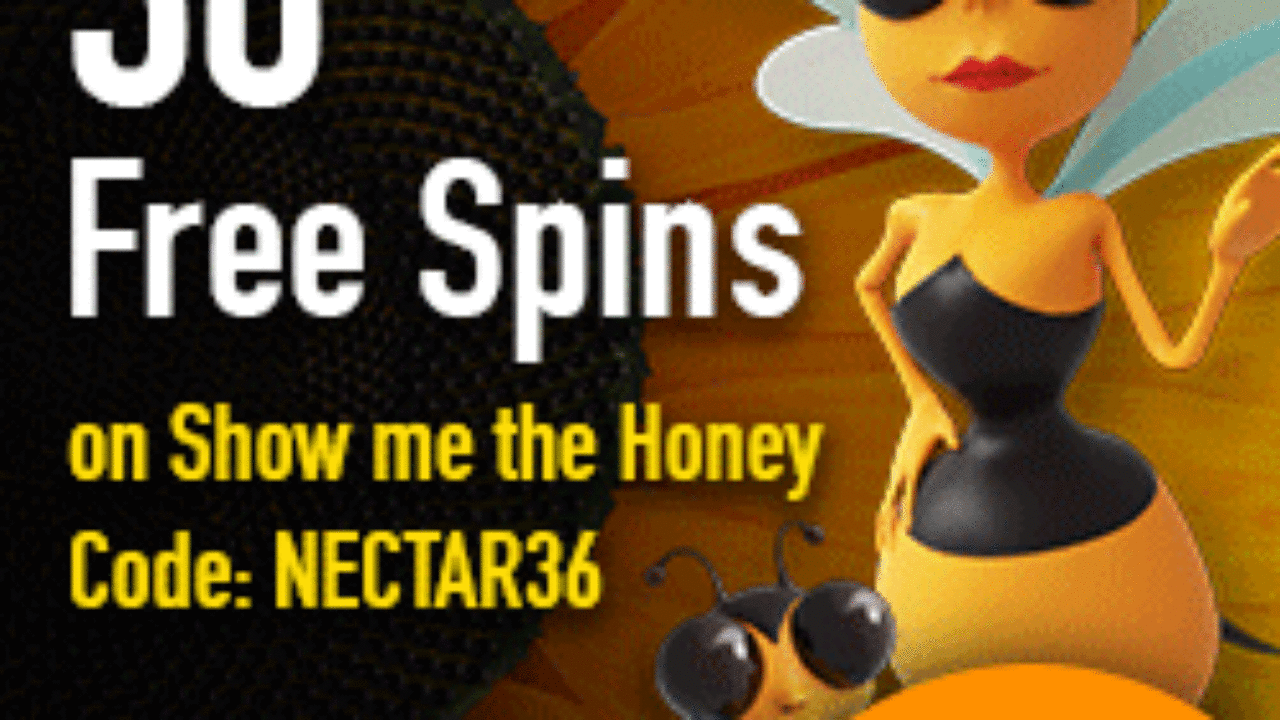 Spins Spins